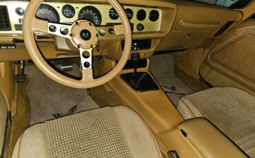 Pontiac-firebird-trans-am-ws6-1979-20