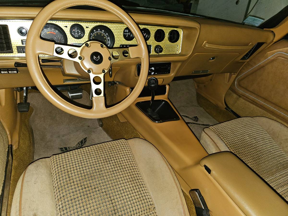 Pontiac-firebird-trans-am-ws6-1979-20