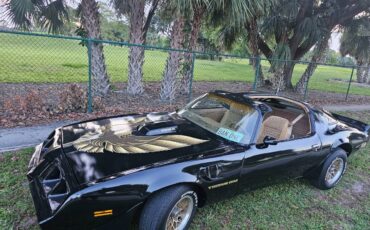 Pontiac-firebird-trans-am-ws6-1979