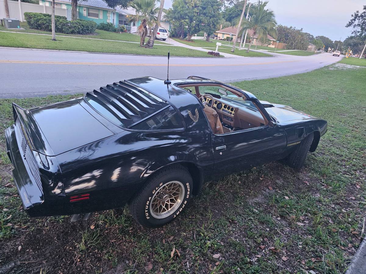 Pontiac-firebird-trans-am-ws6-1979-3
