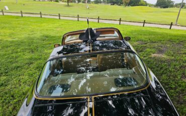 Pontiac-firebird-trans-am-ws6-1979-3