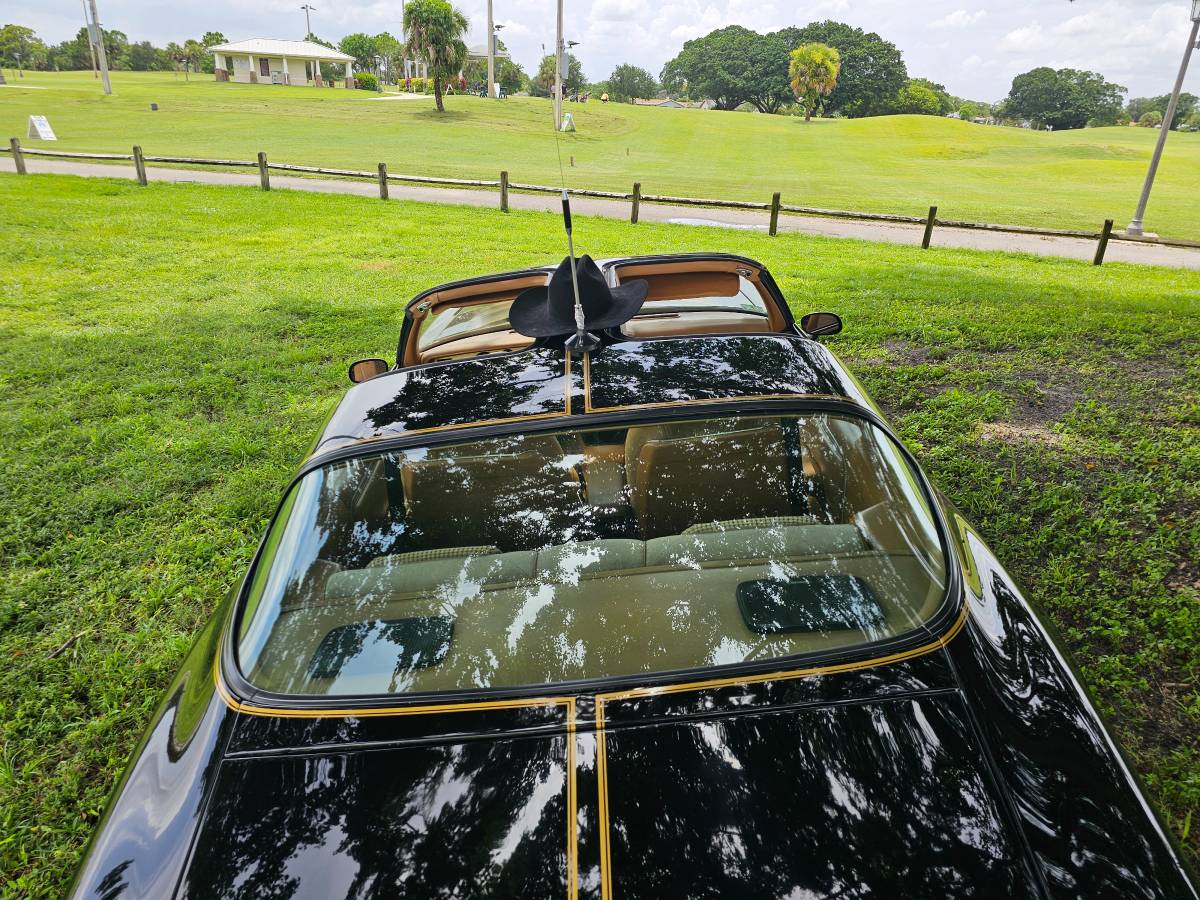 Pontiac-firebird-trans-am-ws6-1979-3