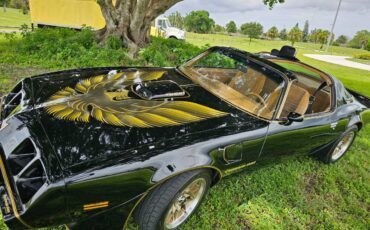 Pontiac-firebird-trans-am-ws6-1979