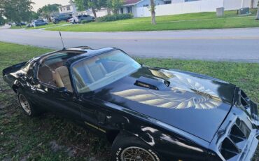 Pontiac-firebird-trans-am-ws6-1979-4