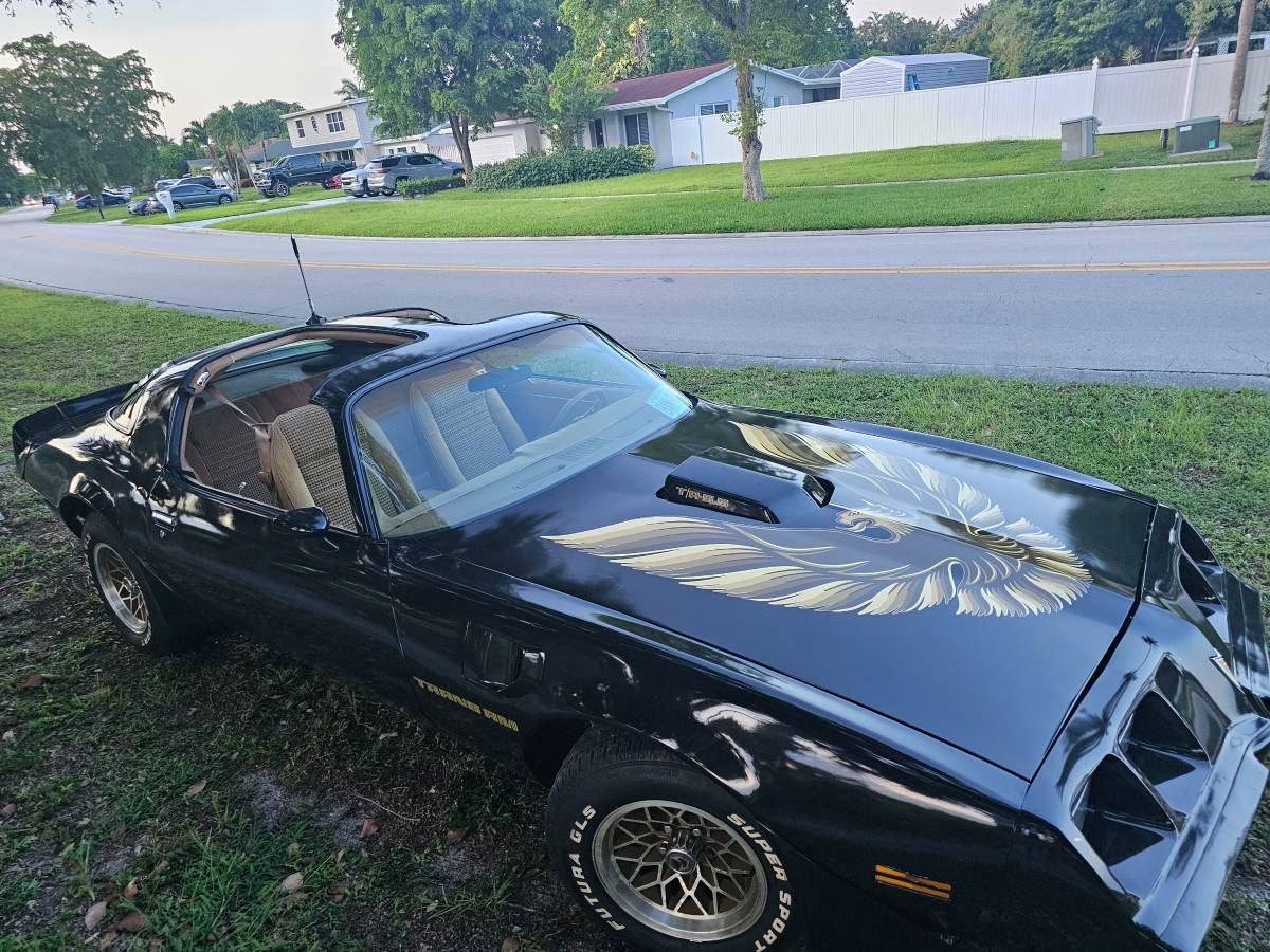 Pontiac-firebird-trans-am-ws6-1979-4