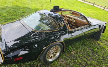 Pontiac-firebird-trans-am-ws6-1979-4