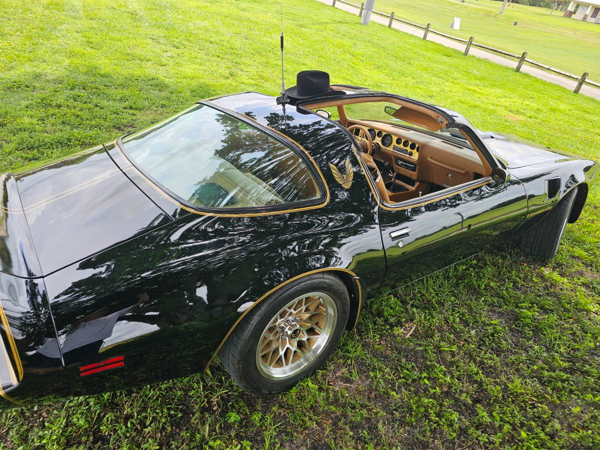 Pontiac-firebird-trans-am-ws6-1979-4