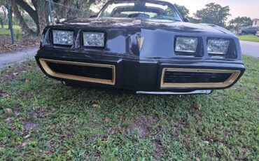 Pontiac-firebird-trans-am-ws6-1979-5