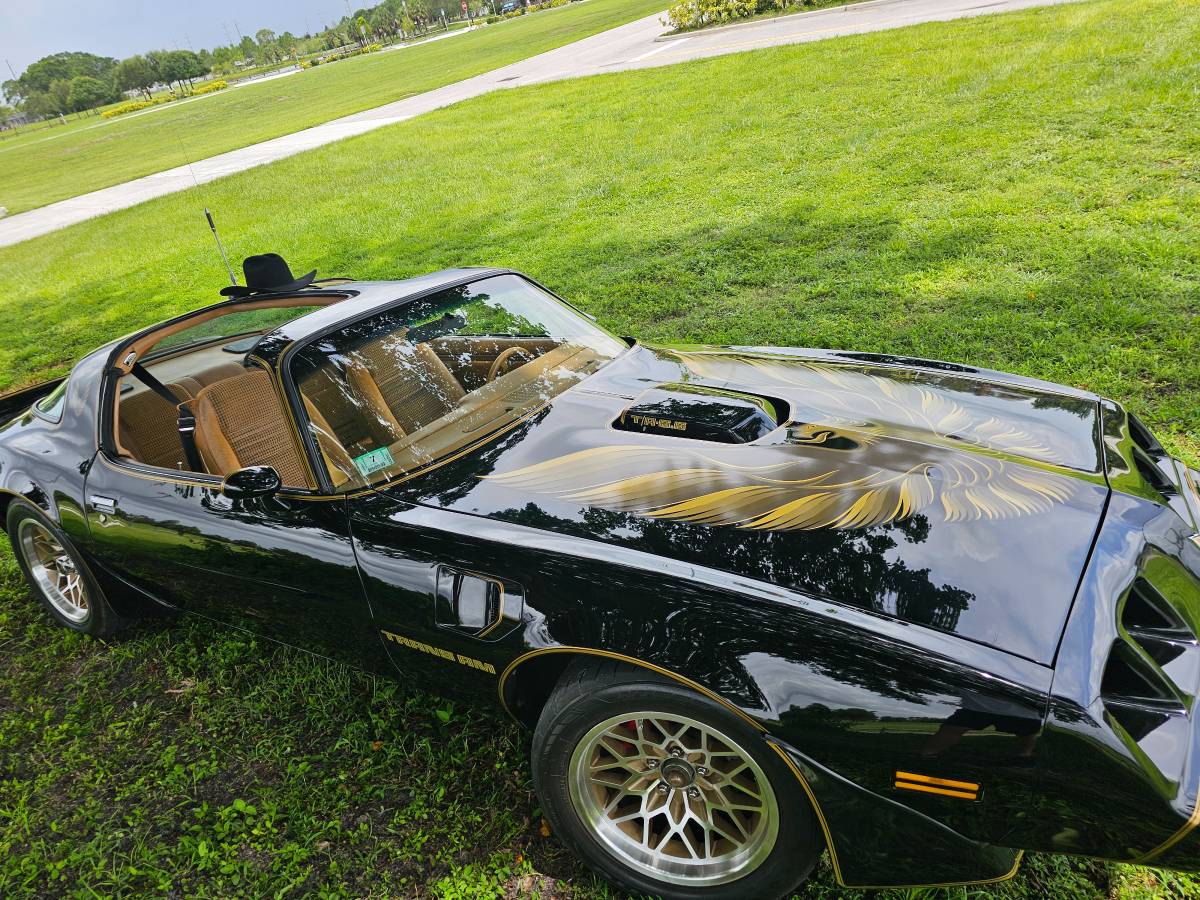 Pontiac-firebird-trans-am-ws6-1979-5