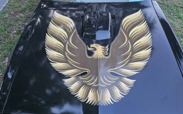Pontiac-firebird-trans-am-ws6-1979-6
