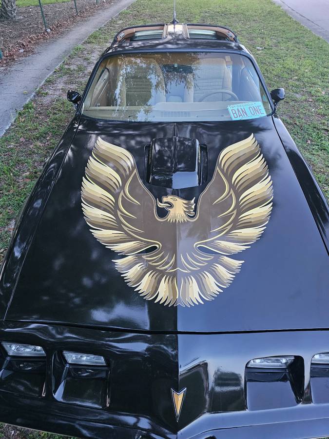 Pontiac-firebird-trans-am-ws6-1979-6