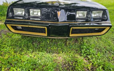 Pontiac-firebird-trans-am-ws6-1979-6