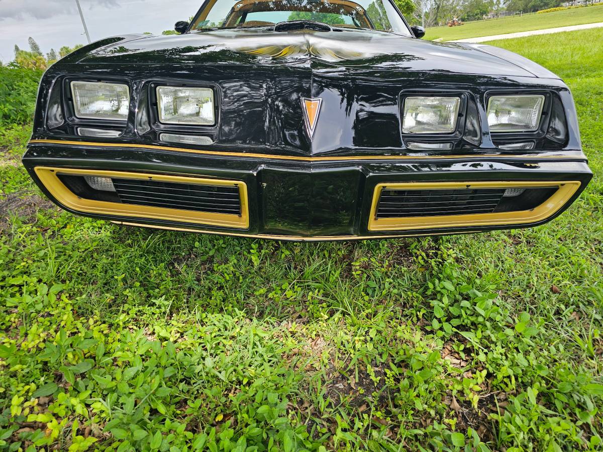 Pontiac-firebird-trans-am-ws6-1979-6