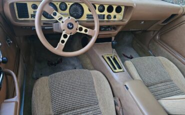 Pontiac-firebird-trans-am-ws6-1979-7
