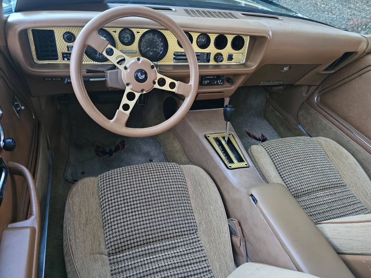 Pontiac-firebird-trans-am-ws6-1979-7