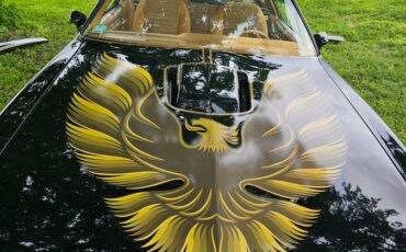 Pontiac-firebird-trans-am-ws6-1979-7