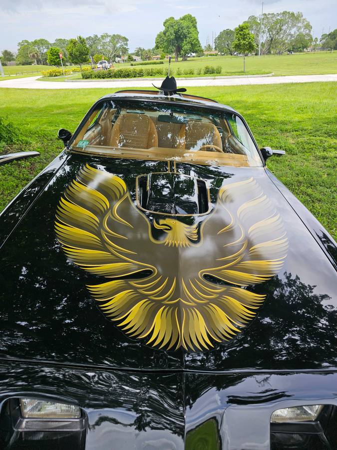 Pontiac-firebird-trans-am-ws6-1979-7