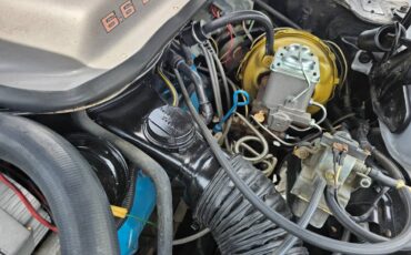 Pontiac-firebird-trans-am-ws6-1979-9