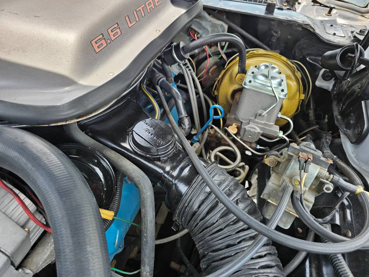 Pontiac-firebird-trans-am-ws6-1979-9