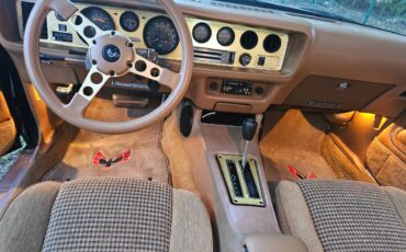 Pontiac-firebird-trans-am-ws6-1979-9