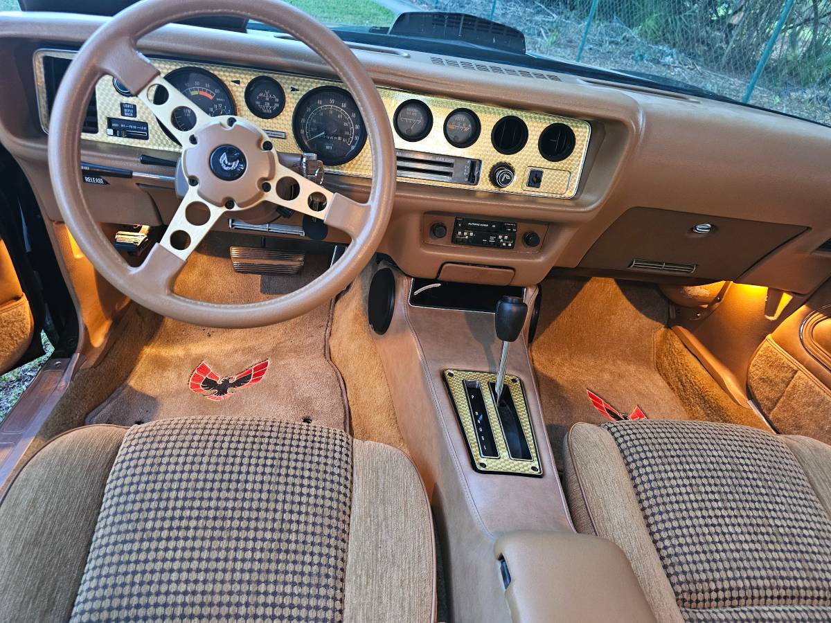 Pontiac-firebird-trans-am-ws6-1979-9