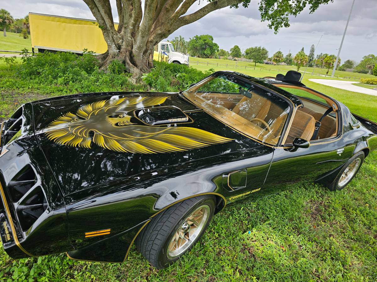 Pontiac-firebird-trans-am-ws6-1979