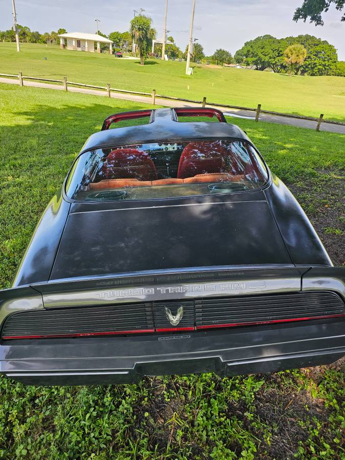 Pontiac-firebird-trans-am-ws6-1981-1