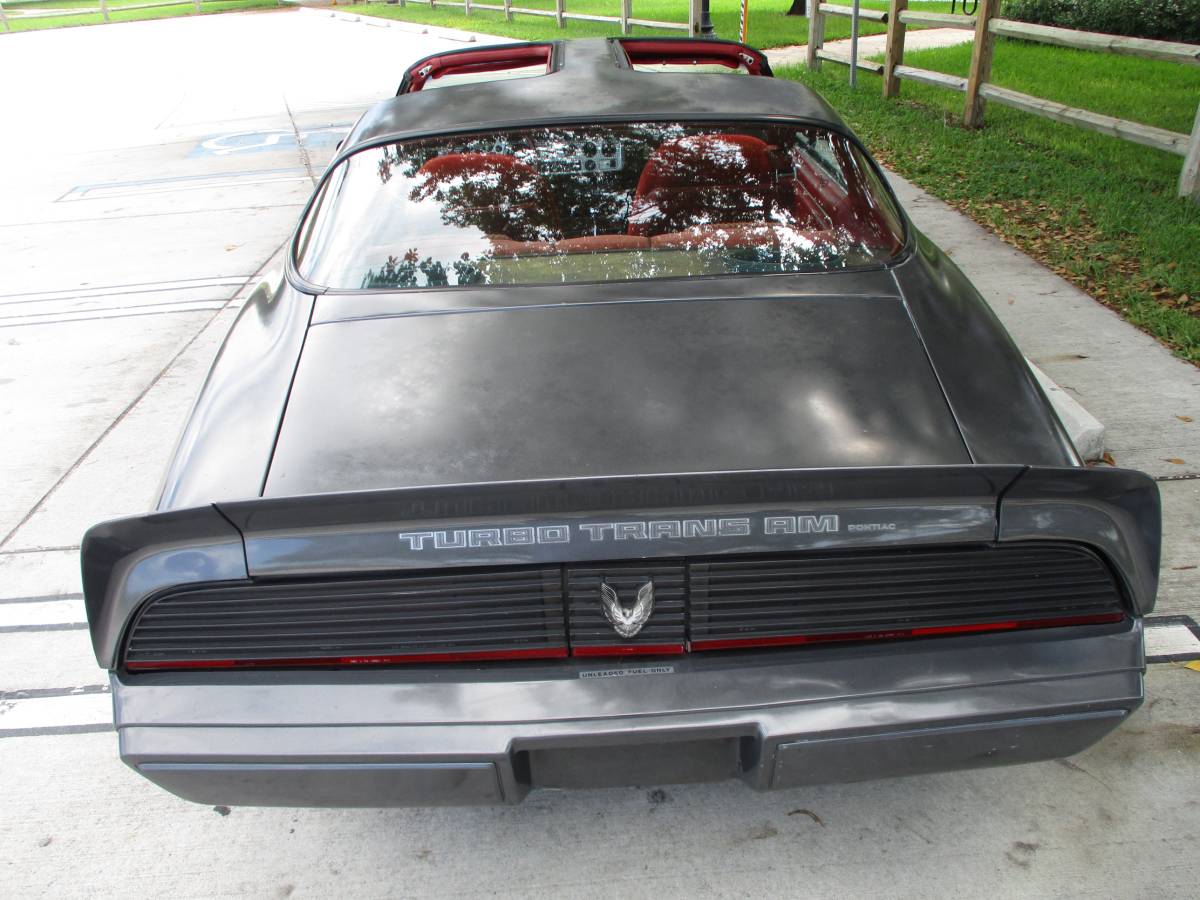 Pontiac-firebird-trans-am-ws6-1981-1