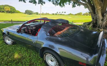 Pontiac-firebird-trans-am-ws6-1981-11