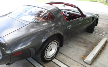 Pontiac-firebird-trans-am-ws6-1981-2
