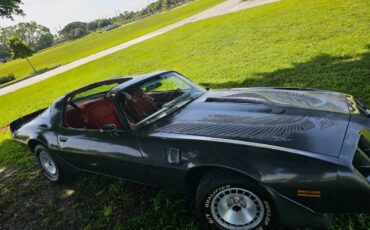 Pontiac-firebird-trans-am-ws6-1981-3