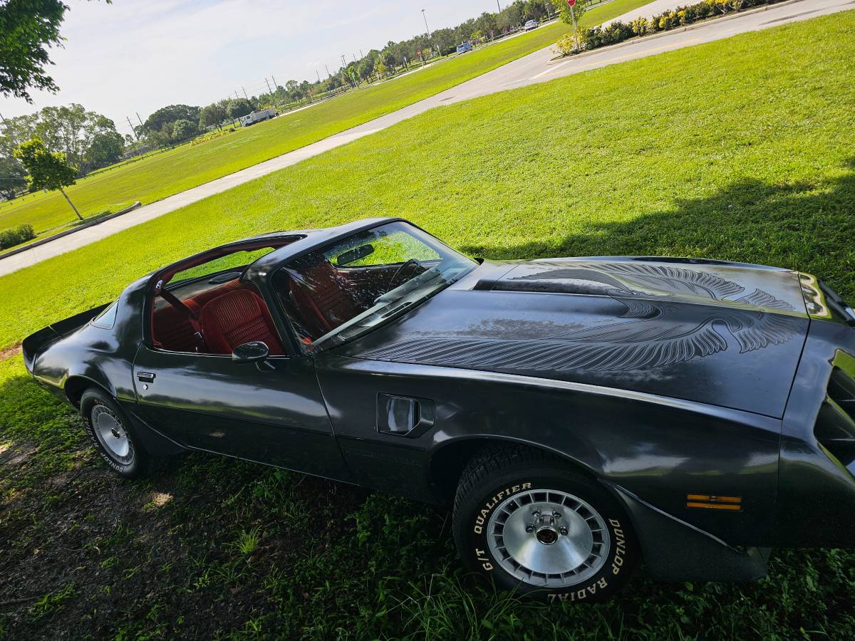 Pontiac-firebird-trans-am-ws6-1981-3