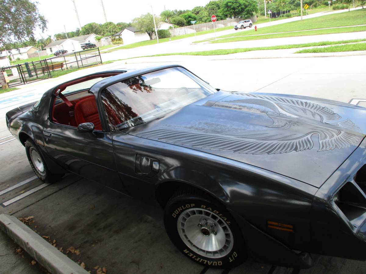 Pontiac-firebird-trans-am-ws6-1981-3