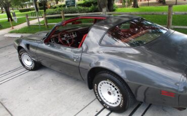 Pontiac-firebird-trans-am-ws6-1981