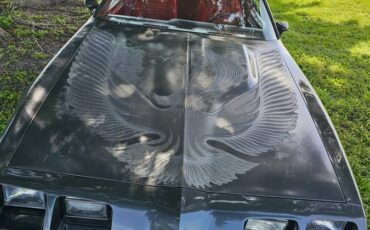 Pontiac-firebird-trans-am-ws6-1981-5
