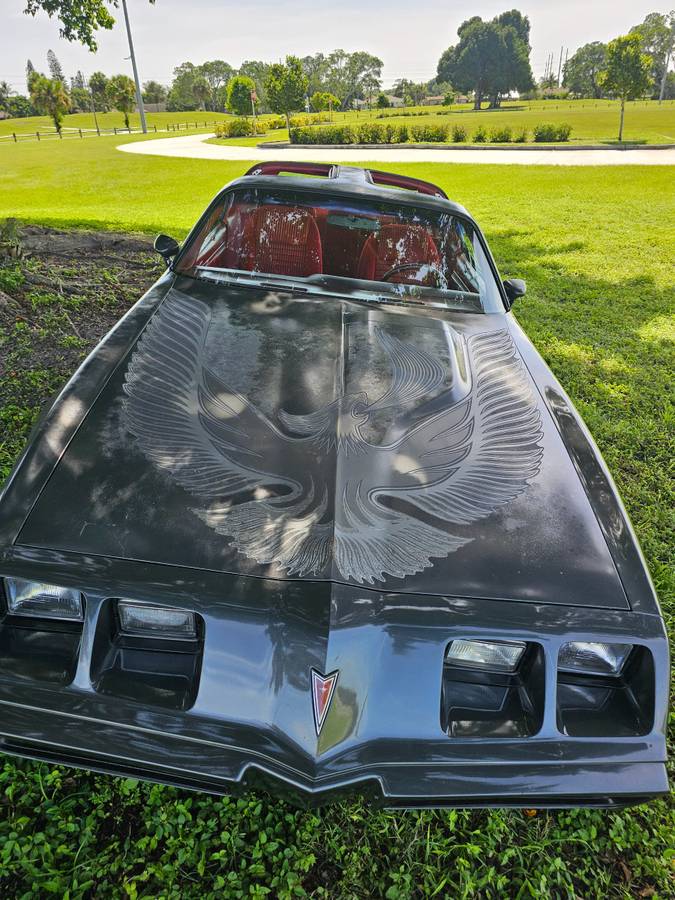 Pontiac-firebird-trans-am-ws6-1981-5