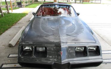 Pontiac-firebird-trans-am-ws6-1981-5
