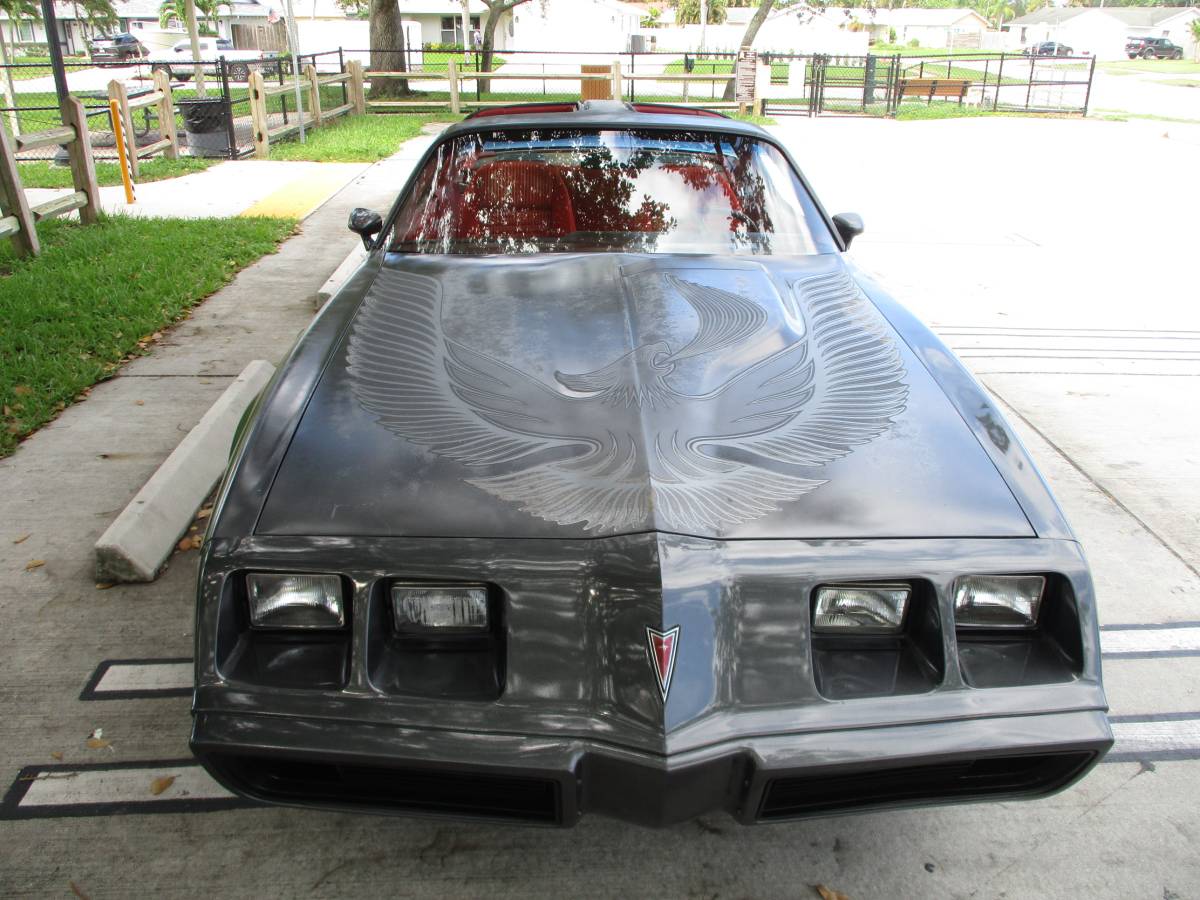 Pontiac-firebird-trans-am-ws6-1981-5