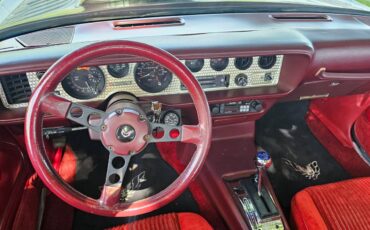 Pontiac-firebird-trans-am-ws6-1981-6