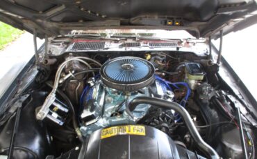 Pontiac-firebird-trans-am-ws6-1981-6