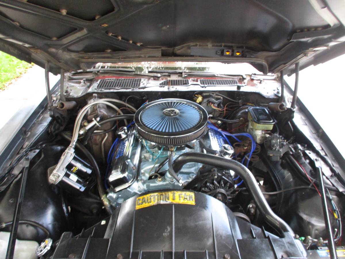 Pontiac-firebird-trans-am-ws6-1981-6