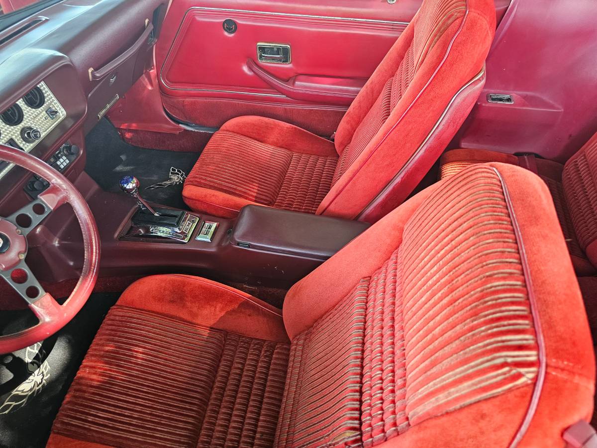 Pontiac-firebird-trans-am-ws6-1981-7