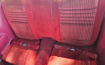 Pontiac-firebird-trans-am-ws6-1981-8