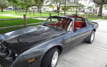 Pontiac-firebird-trans-am-ws6-1981-8