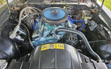 Pontiac-firebird-trans-am-ws6-1981-9