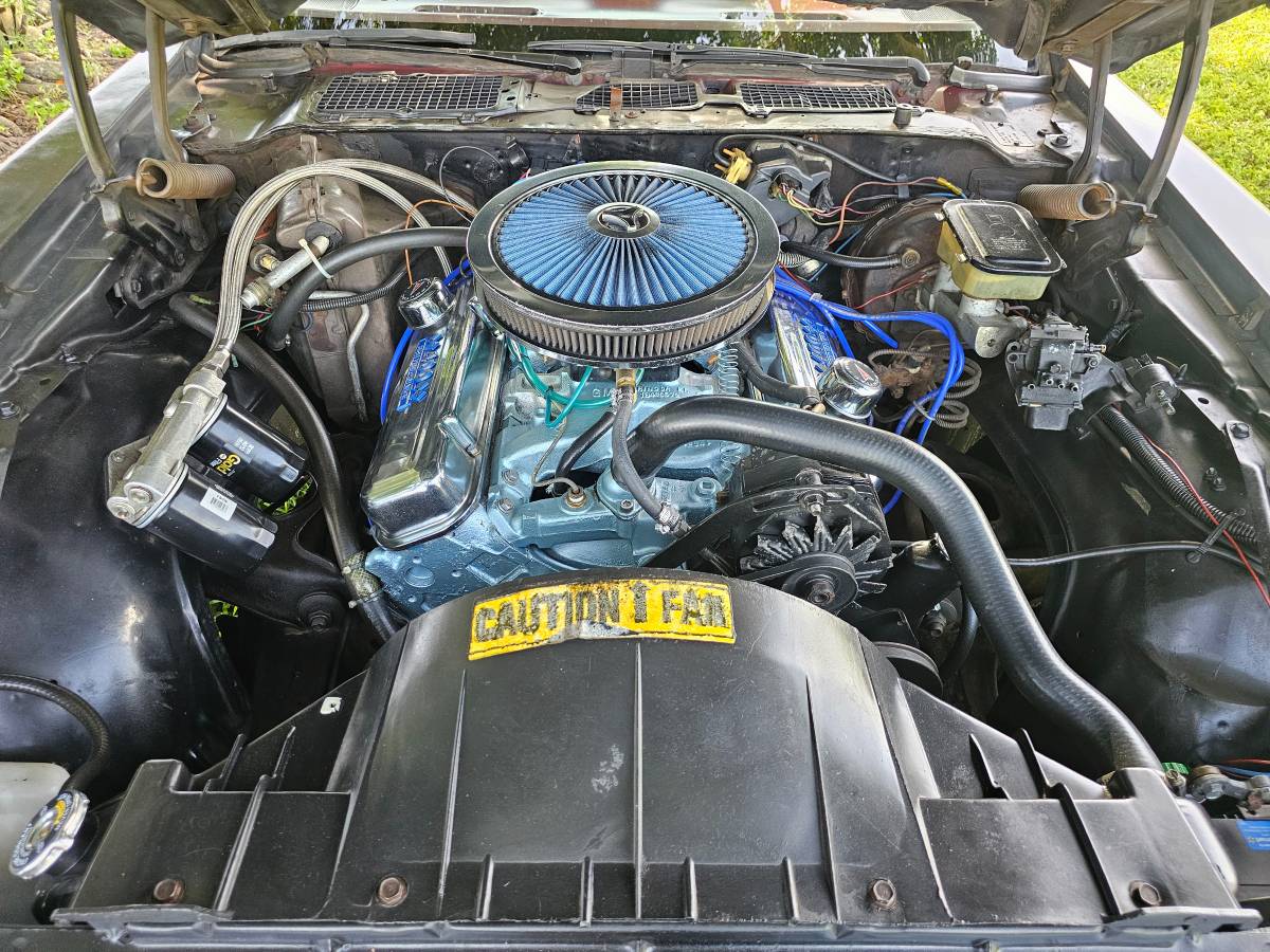 Pontiac-firebird-trans-am-ws6-1981-9