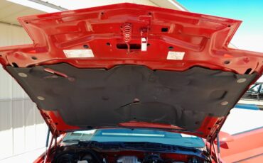 Pontiac-firebird-trans-am-ws6-1986-11