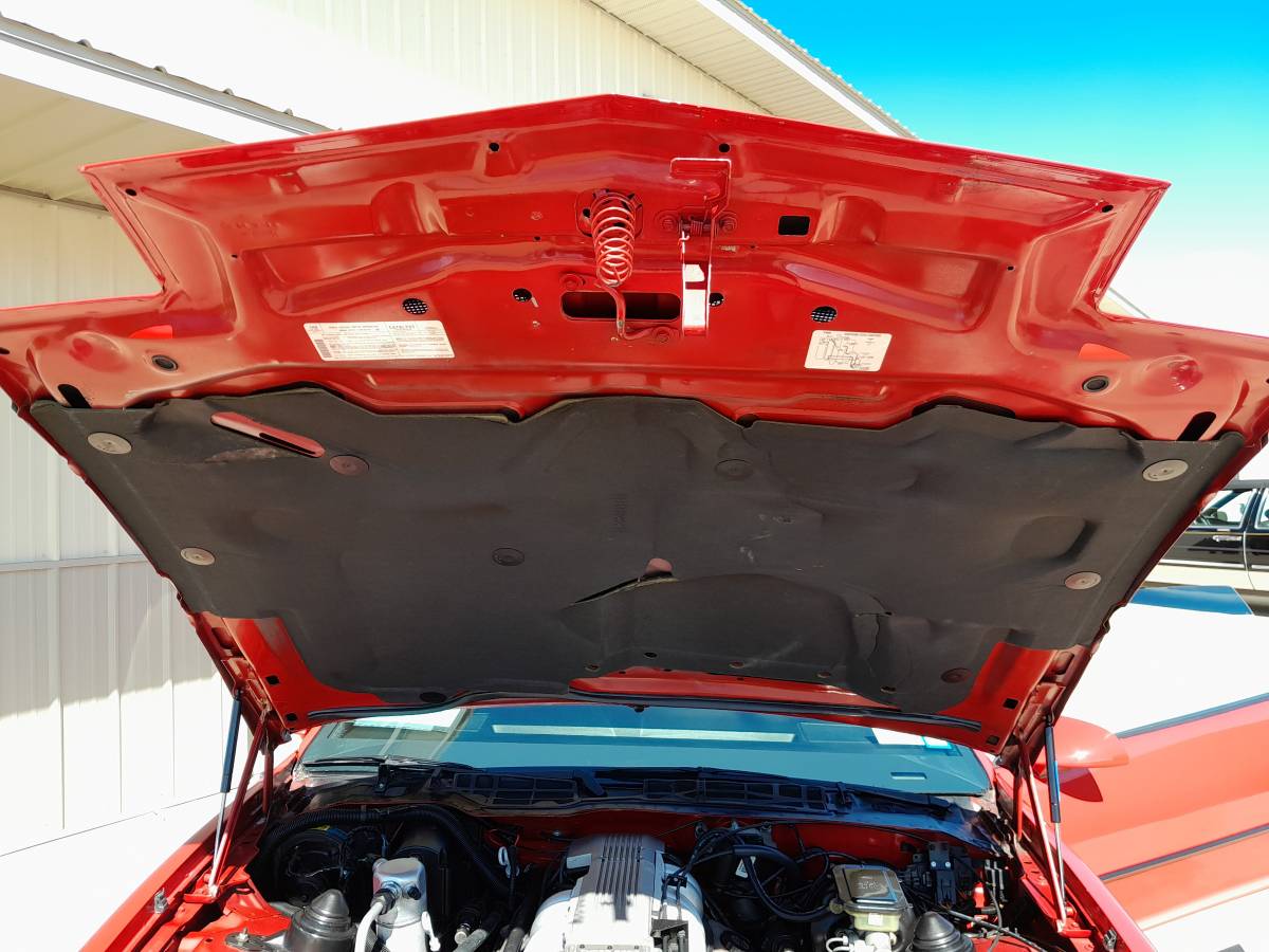 Pontiac-firebird-trans-am-ws6-1986-11