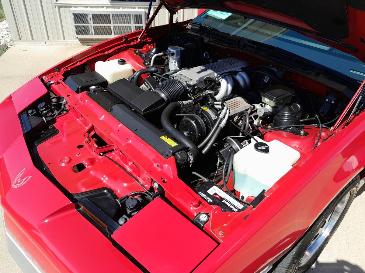 Pontiac-firebird-trans-am-ws6-1986-13