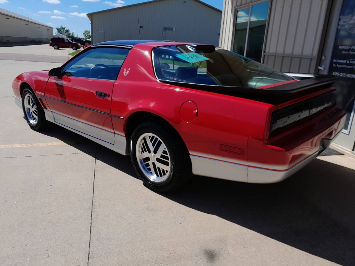 Pontiac-firebird-trans-am-ws6-1986-16